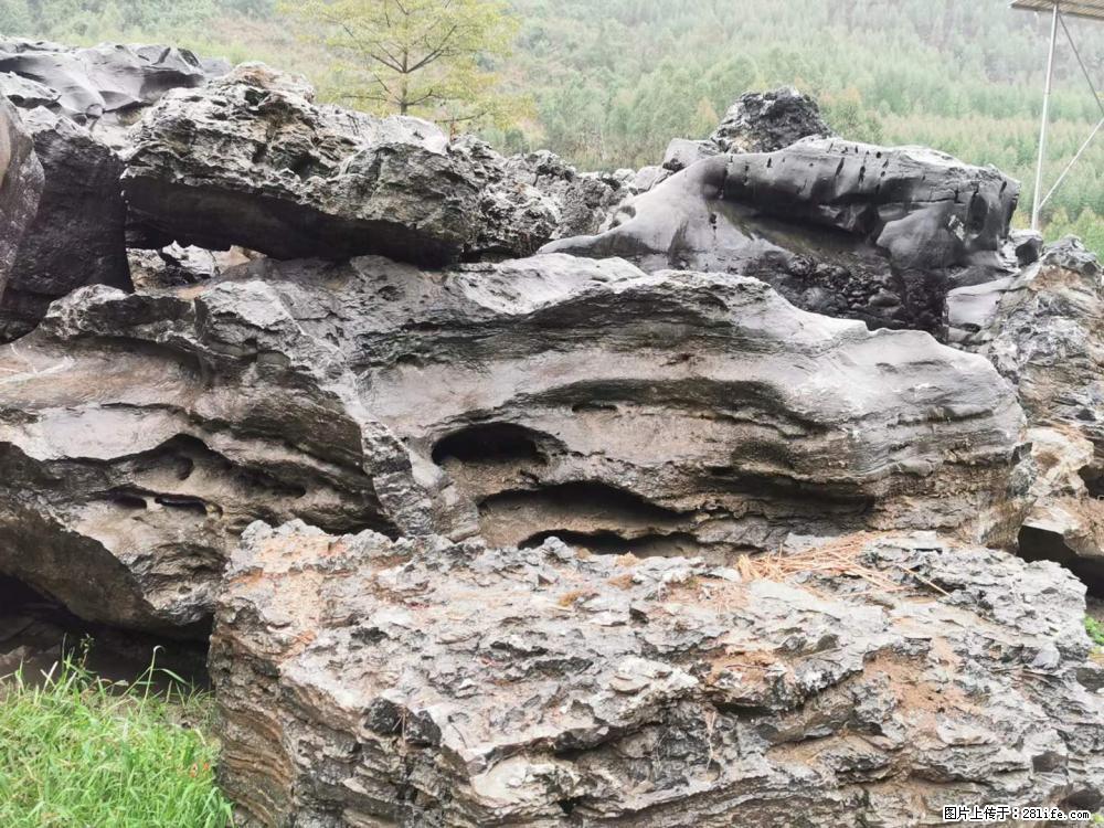 风景石、假山石大量有货，有需要的欢迎联系 - 新手上路 - 贺州生活社区 - 贺州28生活网 hezhou.28life.net
