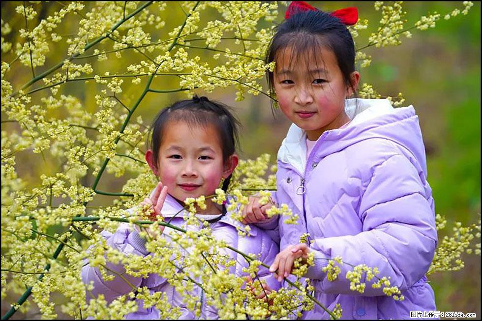 【春天，广西桂林灌阳县向您发出邀请！】米珠山前有片山苍子花在飘香 - 游山玩水 - 贺州生活社区 - 贺州28生活网 hezhou.28life.net