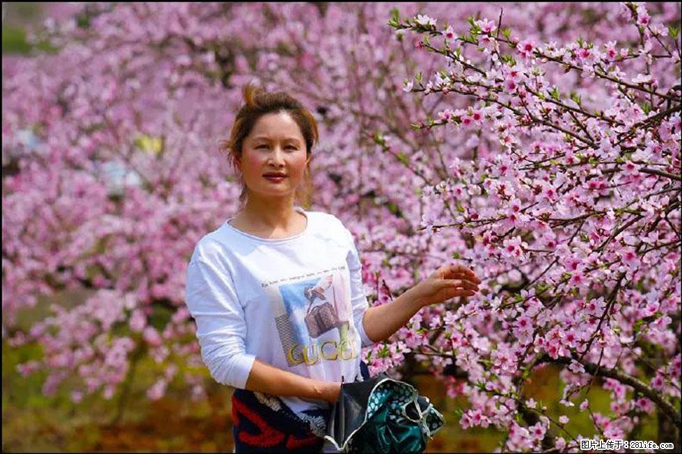 【春天，广西桂林灌阳县向您发出邀请！】官庄村有个醉美的桃花园 - 游山玩水 - 贺州生活社区 - 贺州28生活网 hezhou.28life.net