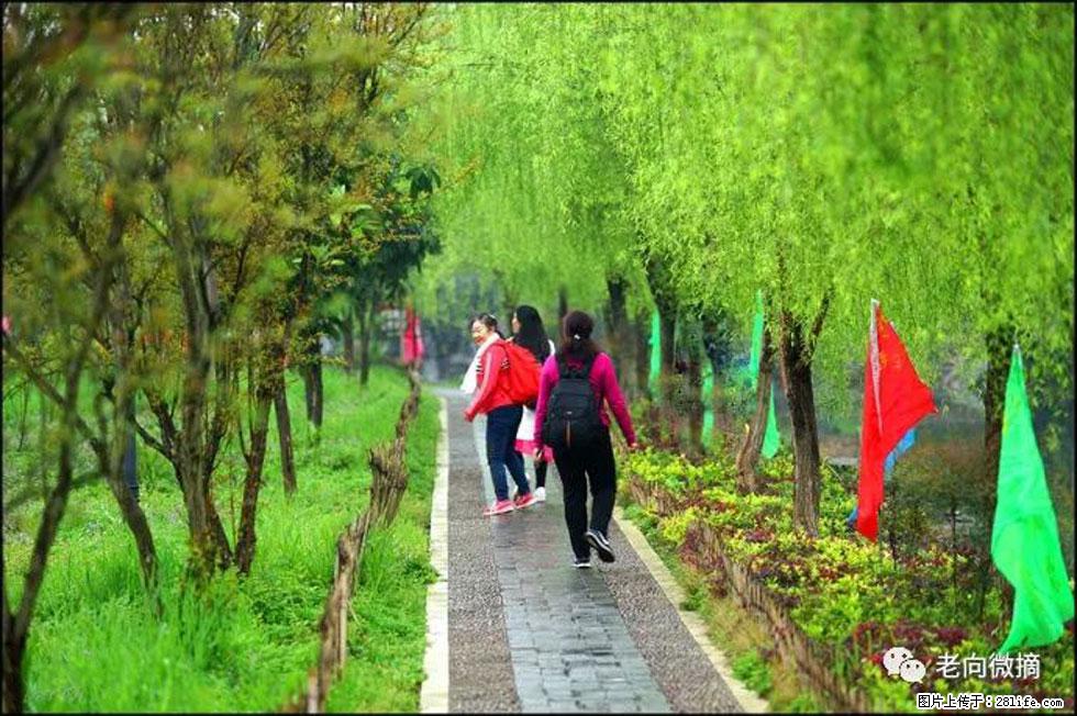 【春天，广西桂林灌阳县向您发出邀请！】江口老街又逢春 - 游山玩水 - 贺州生活社区 - 贺州28生活网 hezhou.28life.net