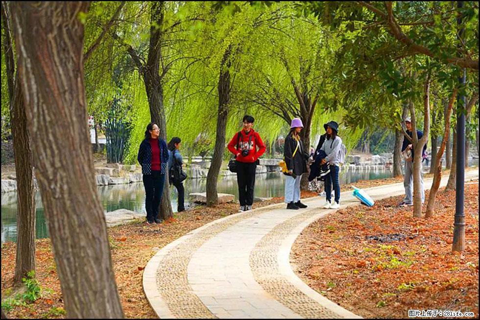 【春天，广西桂林灌阳县向您发出邀请！】江口老街又逢春 - 游山玩水 - 贺州生活社区 - 贺州28生活网 hezhou.28life.net