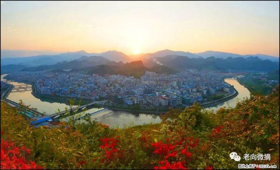 【春天，广西桂林灌阳县向您发出邀请！】登麒麟山，相约映山红 - 游山玩水 - 贺州生活社区 - 贺州28生活网 hezhou.28life.net