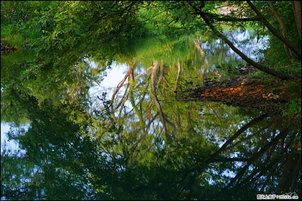 【春天，广西桂林灌阳县向您发出邀请！】熊家寨湿地公园 - 游山玩水 - 贺州生活社区 - 贺州28生活网 hezhou.28life.net