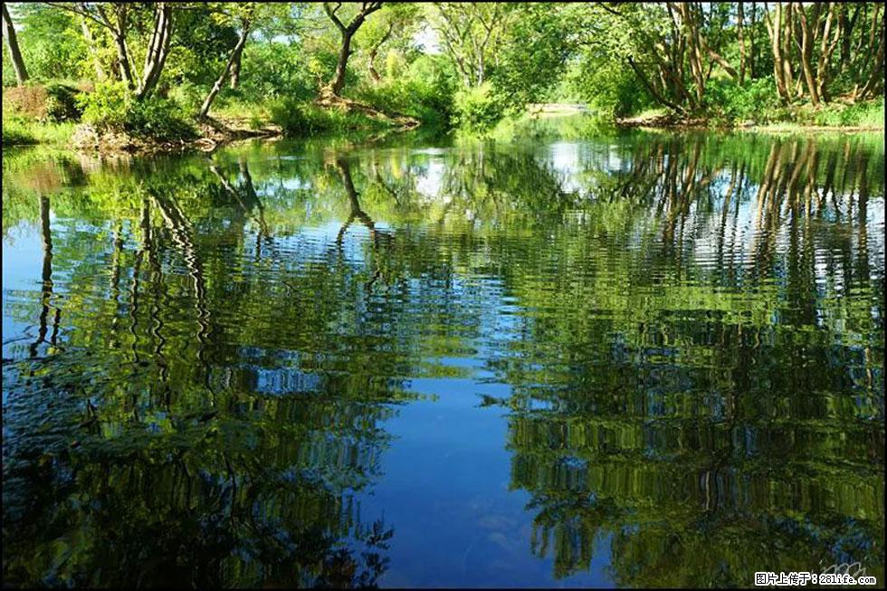 【春天，广西桂林灌阳县向您发出邀请！】熊家寨湿地公园 - 游山玩水 - 贺州生活社区 - 贺州28生活网 hezhou.28life.net
