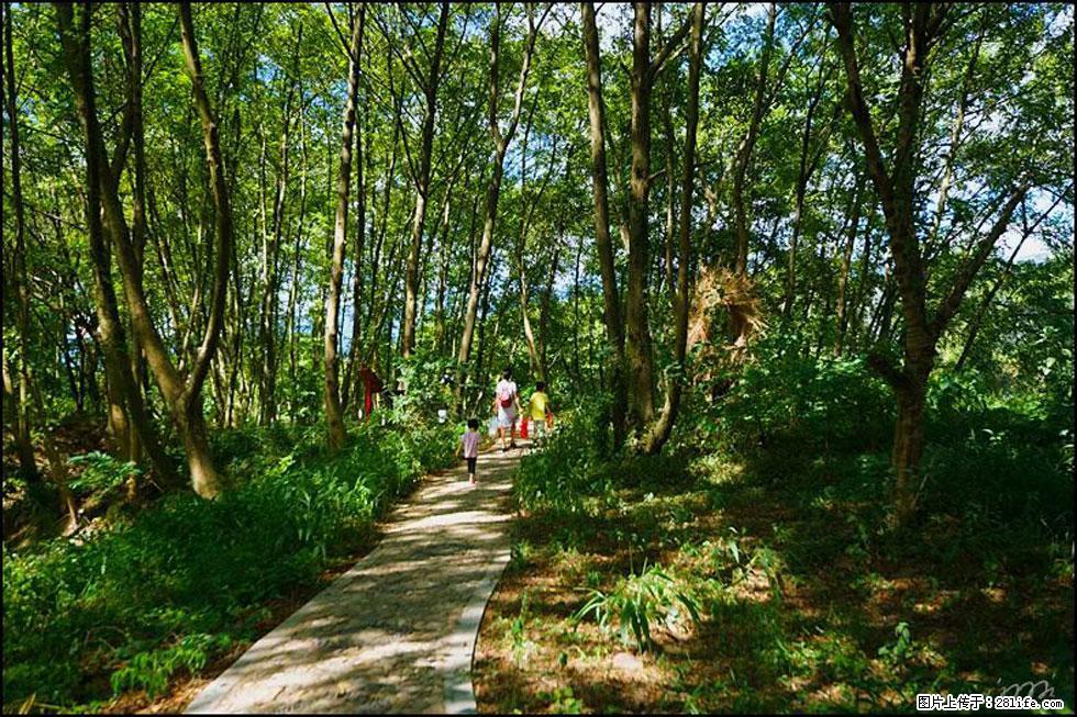 【春天，广西桂林灌阳县向您发出邀请！】熊家寨湿地公园 - 游山玩水 - 贺州生活社区 - 贺州28生活网 hezhou.28life.net