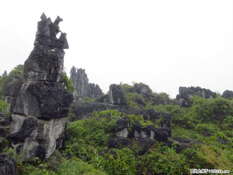桂林旅游名城景点：灌阳文市石林 - 游山玩水 - 贺州生活社区 - 贺州28生活网 hezhou.28life.net