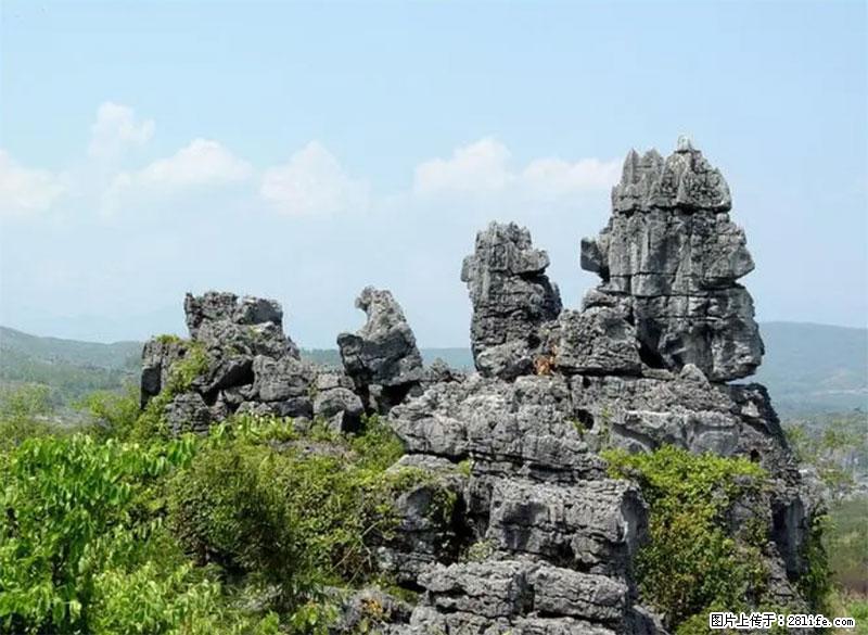 桂林旅游名城景点：灌阳文市石林 - 游山玩水 - 贺州生活社区 - 贺州28生活网 hezhou.28life.net