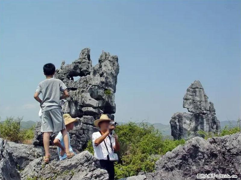 桂林旅游名城景点：灌阳文市石林 - 游山玩水 - 贺州生活社区 - 贺州28生活网 hezhou.28life.net