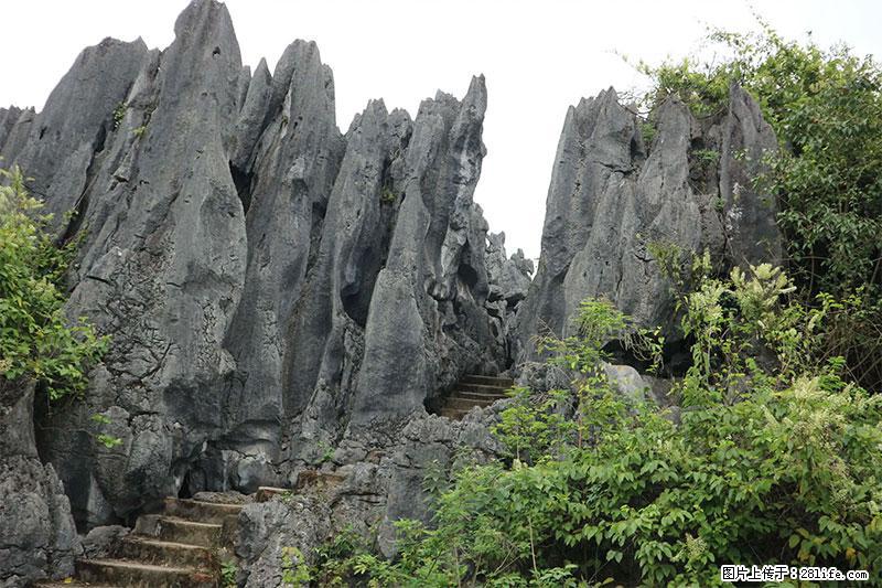 桂林旅游名城景点：灌阳文市石林 - 游山玩水 - 贺州生活社区 - 贺州28生活网 hezhou.28life.net