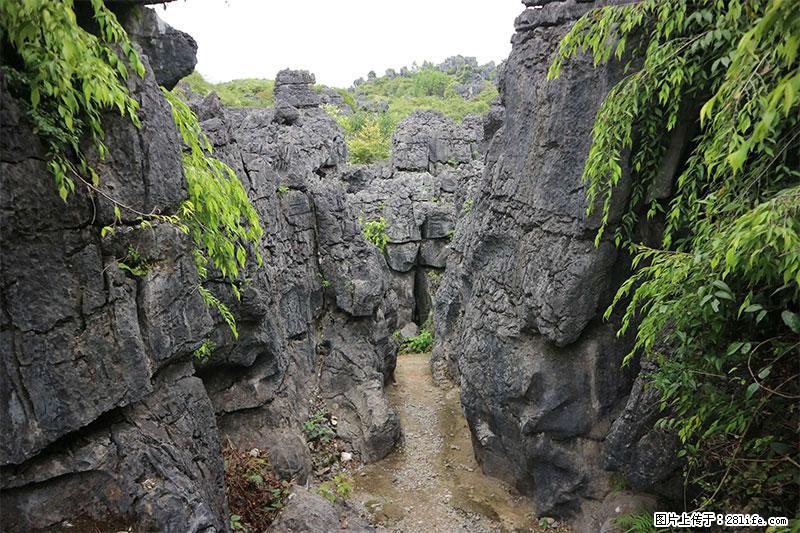 桂林旅游名城景点：灌阳文市石林 - 游山玩水 - 贺州生活社区 - 贺州28生活网 hezhou.28life.net