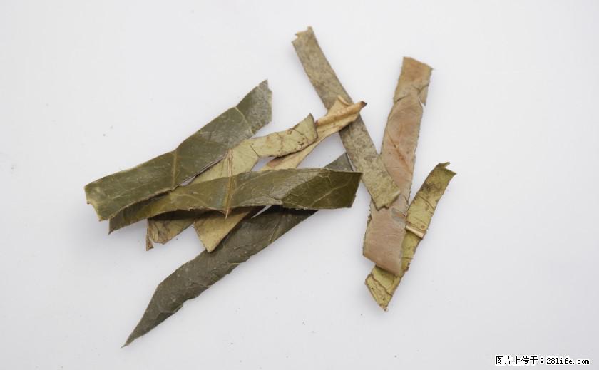苦丁茶有哪些功效和作用 - 生活百科 - 贺州生活社区 - 贺州28生活网 hezhou.28life.net