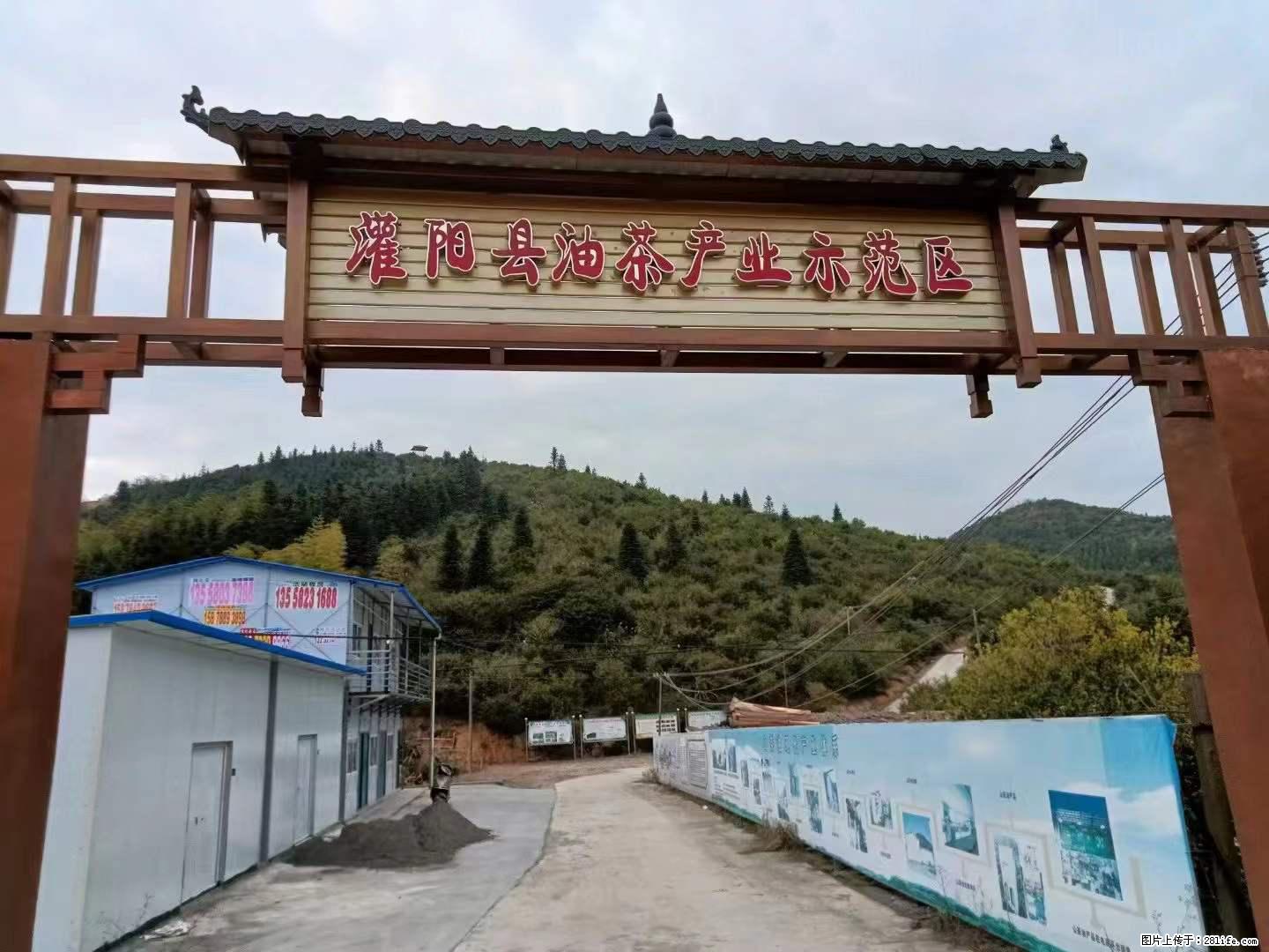 【灌阳县油茶产业示范区】一个有着充实的精神生活的人，对待身外之物自会有一种淡泊的态度 - 美食天地 - 贺州生活社区 - 贺州28生活网 hezhou.28life.net