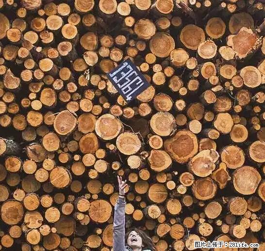 辞掉工作周游世界？现在他们在洗厕所…… - 游山玩水 - 贺州生活社区 - 贺州28生活网 hezhou.28life.net