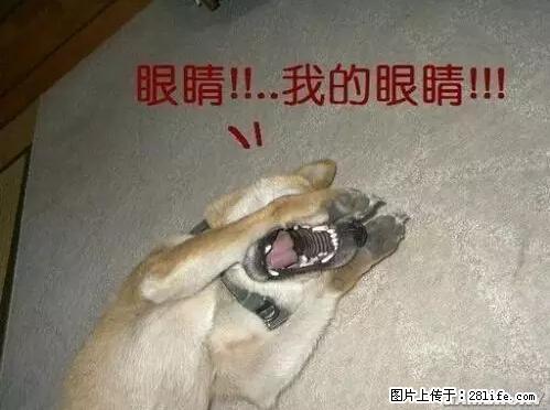 笑癫了！一女的怀孕三年未生，他终于忍不住了... - 娱乐八卦 - 贺州生活社区 - 贺州28生活网 hezhou.28life.net
