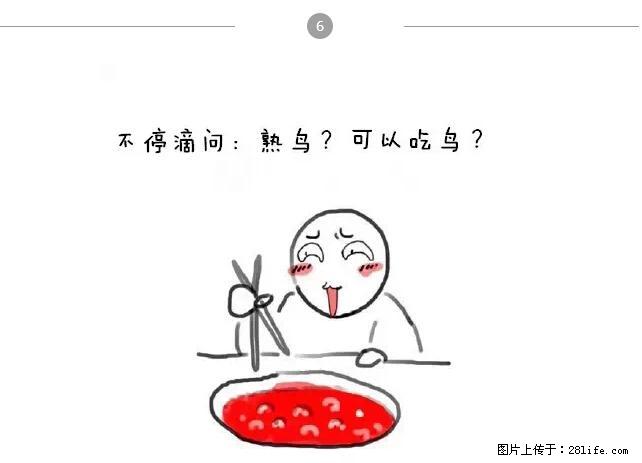 千万不要和这9种哈卵一起吃火锅！ - 美食天地 - 贺州生活社区 - 贺州28生活网 hezhou.28life.net