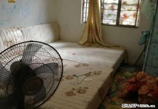 八步贺纸生活区两房出租 - 贺州28生活网 hezhou.28life.net