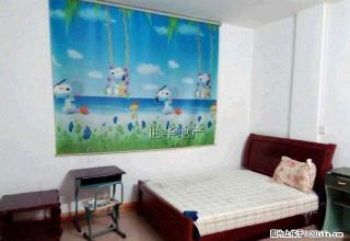 急租 翔云街 铜锣湾附近 精美装修 家电家具配齐 可直接入住 - 贺州28生活网 hezhou.28life.net