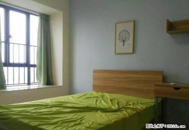 城西 大学生公寓 电梯房高楼层 家电家具齐全 拎包入住 - 房屋出租 - 房屋租售 - 贺州分类信息 - 贺州28生活网 hezhou.28life.net