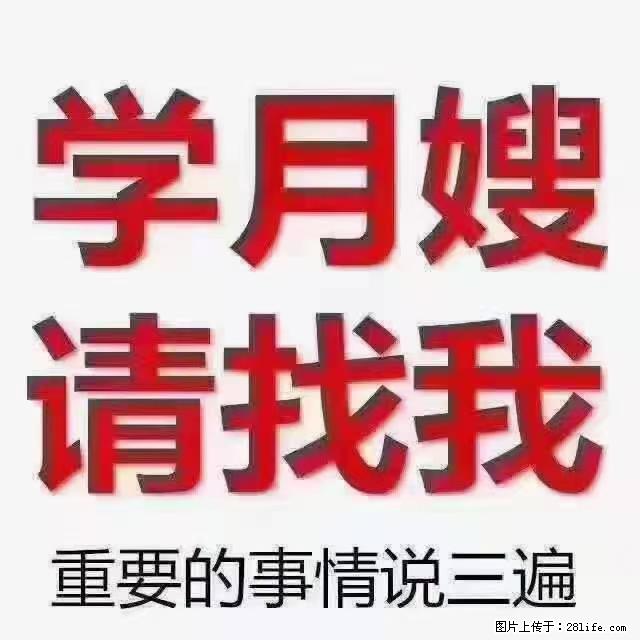 【招聘】月嫂，上海徐汇区 - 职场交流 - 贺州生活社区 - 贺州28生活网 hezhou.28life.net