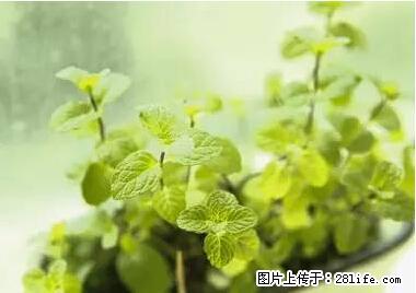 晕车、脚气、牙齿变黄、皮肤粗糙？学会这些三分钟搞定！ - 贺州生活资讯 - 贺州28生活网 hezhou.28life.net
