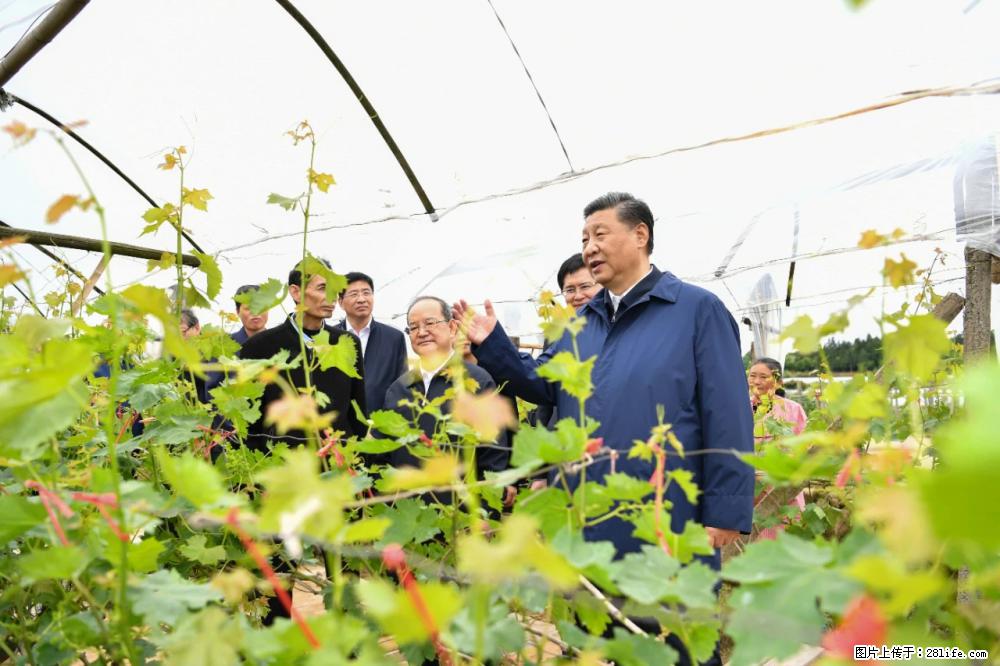 习近平赴广西考察调研 - 贺州生活资讯 - 贺州28生活网 hezhou.28life.net