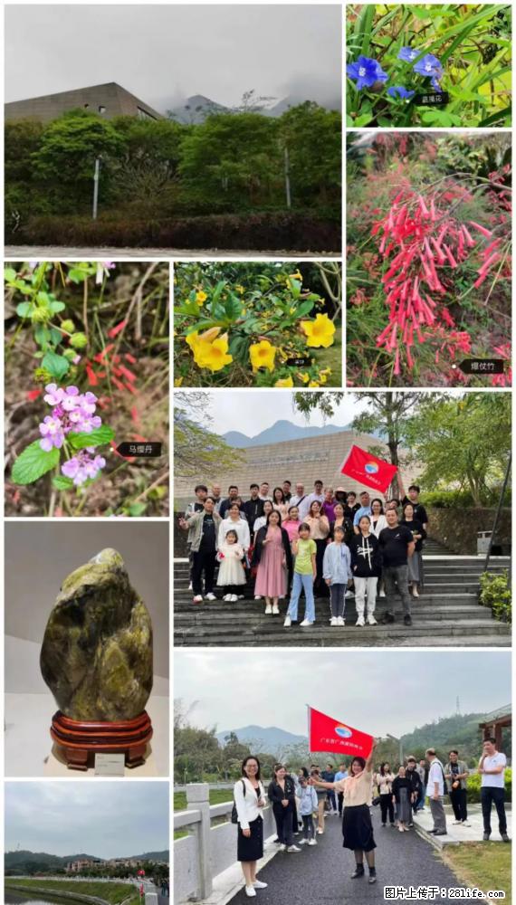 “粤灌文化 美好生活”油茶文化主题活动在广东深圳成功举办 - 贺州生活资讯 - 贺州28生活网 hezhou.28life.net