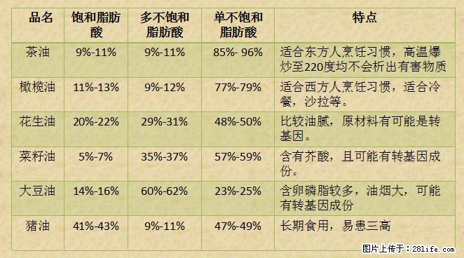 揭秘茶油的5大核心营养成分！被称为人体健康的“守护盾”！ - 贺州生活资讯 - 贺州28生活网 hezhou.28life.net