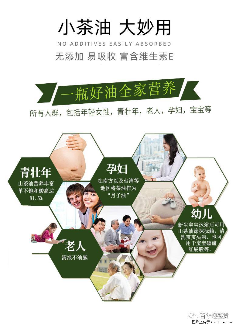 世界没有真相，只有认知，最好的食用油是中国的山茶油！ - 贺州生活资讯 - 贺州28生活网 hezhou.28life.net