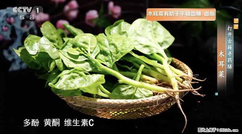 比牛奶补钙还厉害！凉血解毒、稳血糖...这菜冬天必吃，很多人却当草 - 贺州生活资讯 - 贺州28生活网 hezhou.28life.net