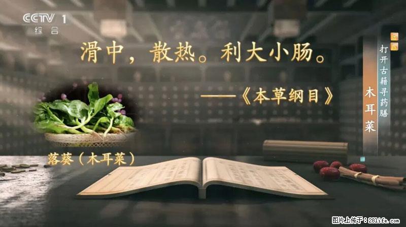 比牛奶补钙还厉害！凉血解毒、稳血糖...这菜冬天必吃，很多人却当草 - 贺州生活资讯 - 贺州28生活网 hezhou.28life.net