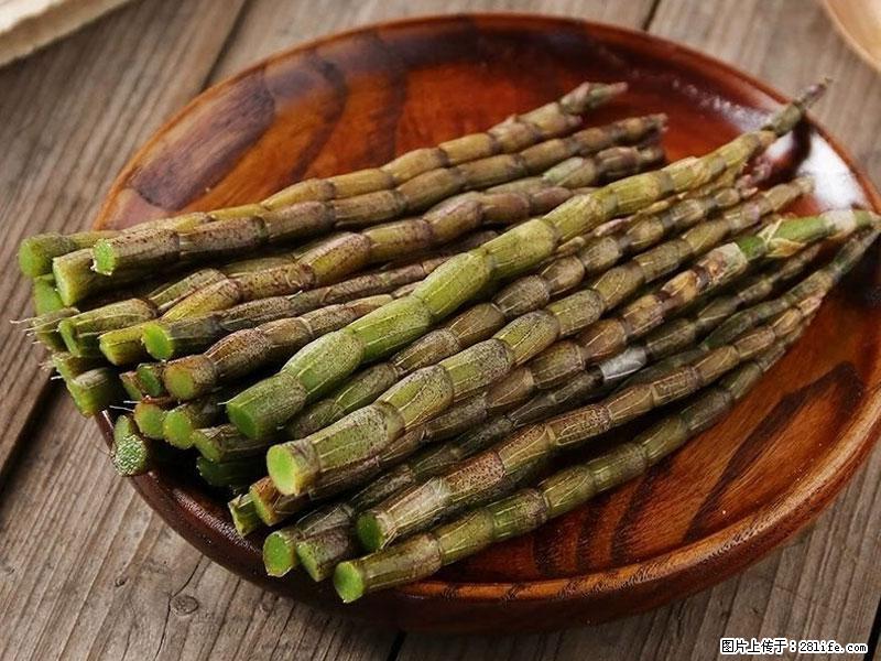 铁皮石斛的作用与功能主治 - 贺州生活资讯 - 贺州28生活网 hezhou.28life.net